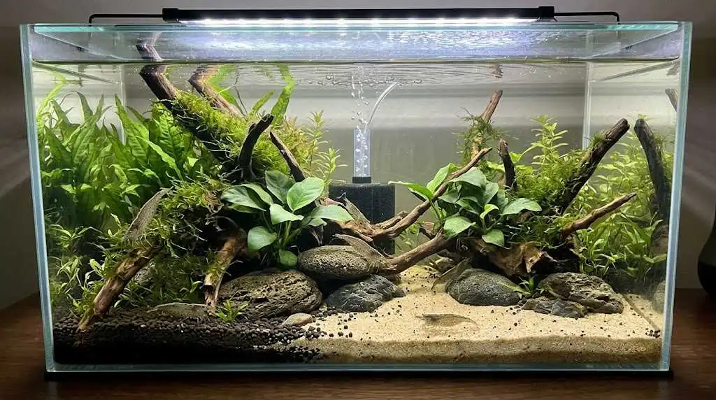 Tank size plan for usable habitat